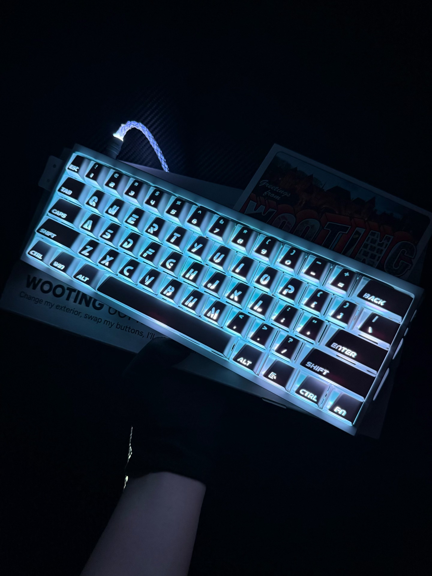Custom Full Mod Custom HE Keyb - Gaming Keyboard No Number Pad のレビューと価格