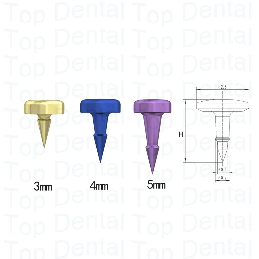 10pcs Dental GBR System Bone S - Stabilizer Screw In のレビューと価格