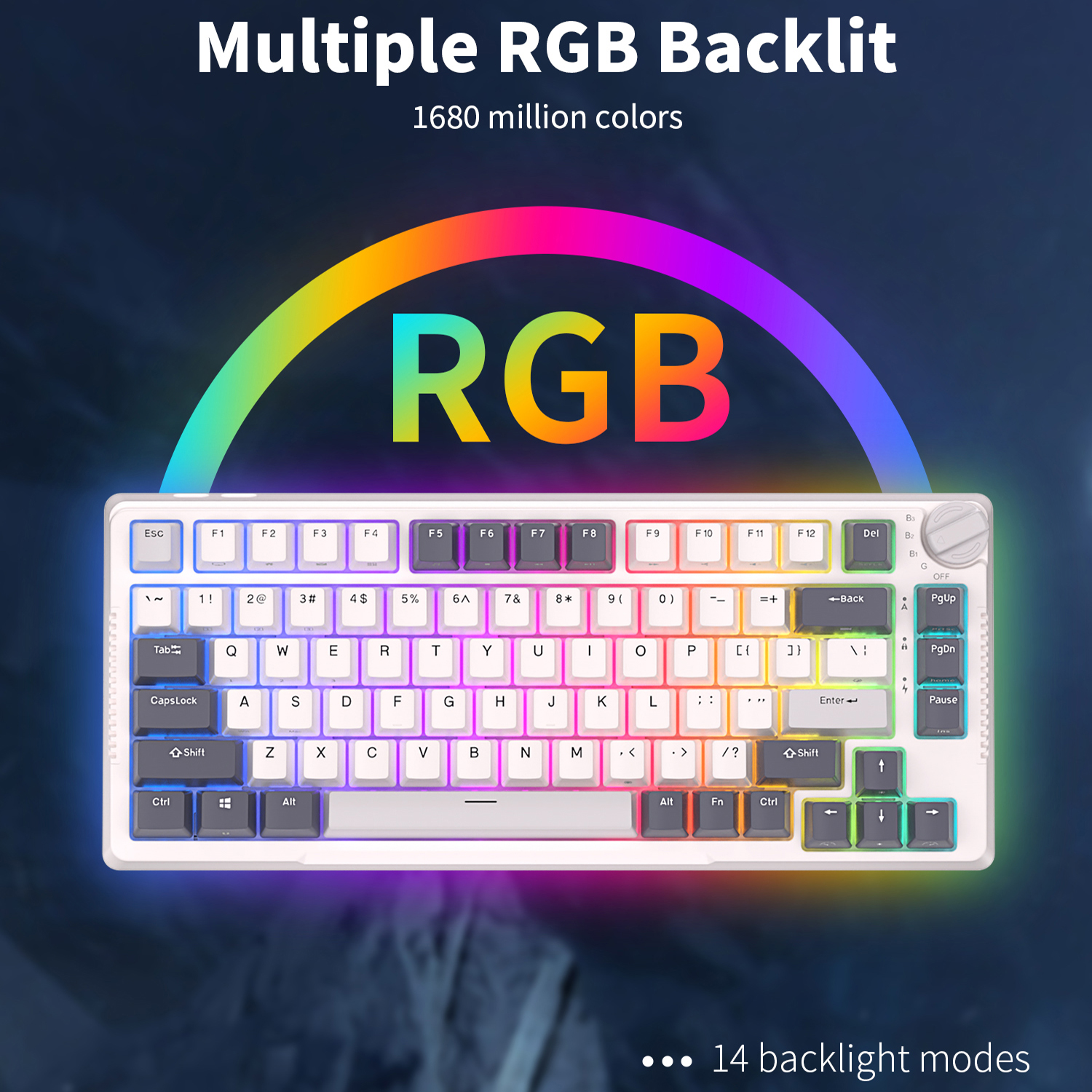 RK H81 Royal Kludge Gasket Str - Gaming Keyboard Mobile のレビューと価格