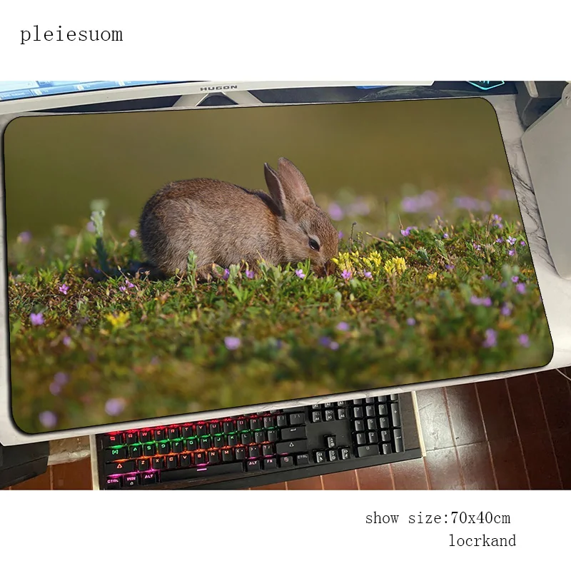 Rabbit cute mouse pad best mou - Gaming Keyboard Best のレビューと価格