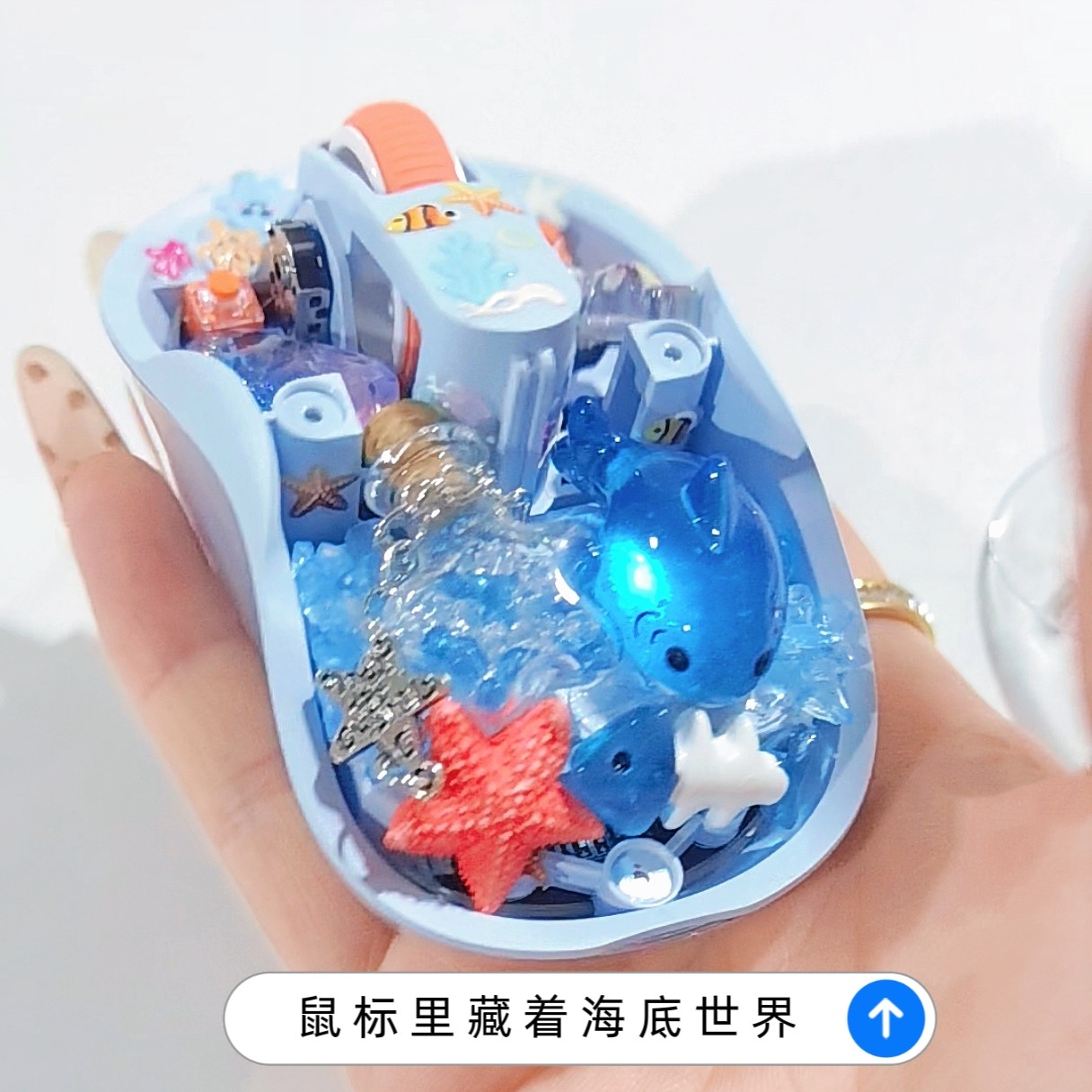 Whale/Starfish Handmade Transp - Keyboard Gaming Transparent のレビューと価格